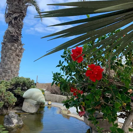 Apartment Little Paradise In El Medano 2 *